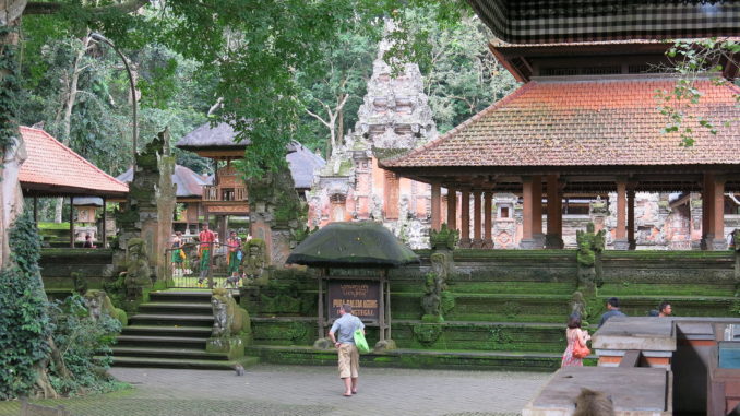 Tempel Ubud Monkey Forest Bali